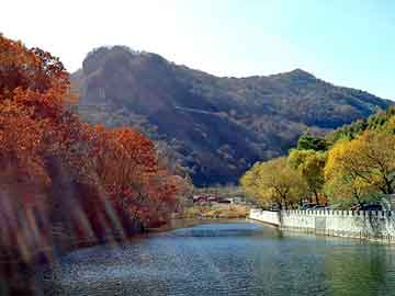 邢台老板在海南投资（邢台大老板）